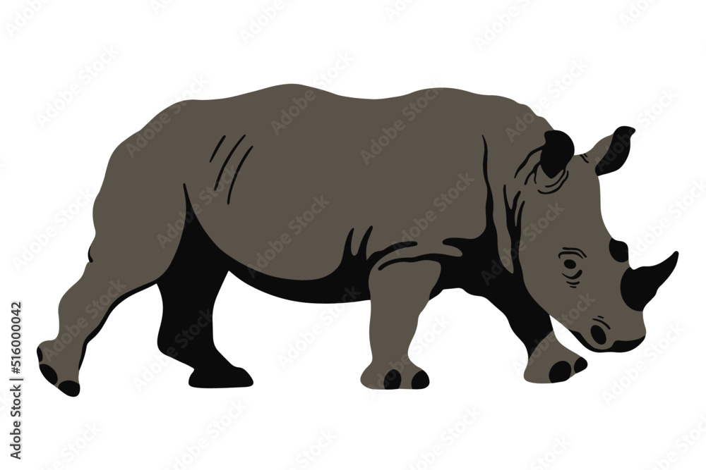 walking rhino on white background
