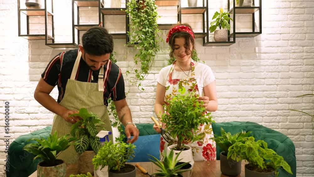 Adorable couple gardening, watering house plants Adorable couple gardening, watering house plants