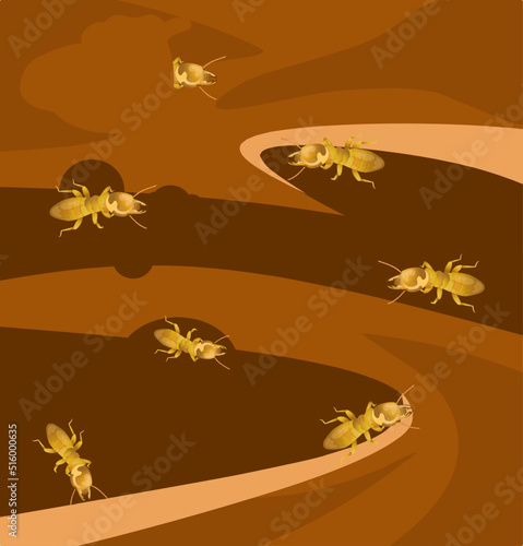 Vector illustration, wooden furniture eaten by termites, scientific name Isoptera.