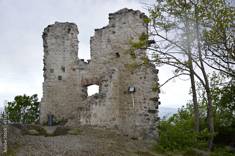 Ruin of Castle Drachenfels in the Mountains Siebengebirge, North Rhine - Westphalia