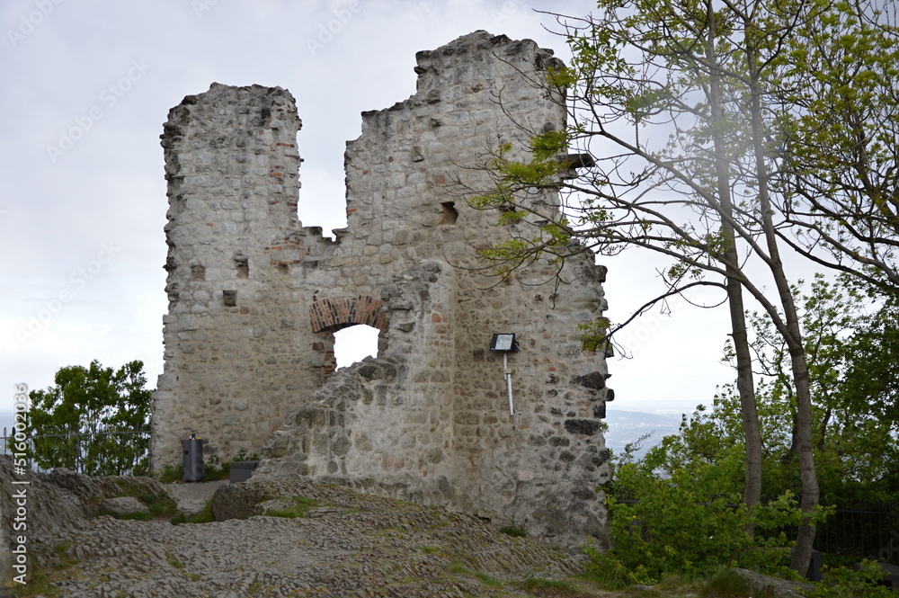 Ruin of Castle Drachenfels in the Mountains Siebengebirge, North Rhine - Westphalia Ruin of Castle Drachenfels in the Mountains Siebengebirge, North Rhine - Westphalia