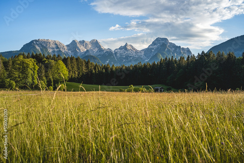 Idyllic summer landscape in the evening light in the beautiful Salzburger Land,Lofer, Pinzgau, Salzburger Land, Austria, Europe