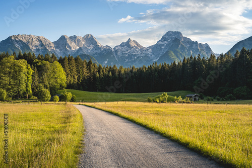 Tableau sur toile Idyllic summer landscape in the evening light in the beautiful Salzburger Land,L
