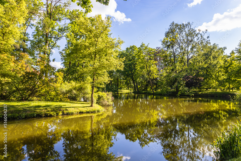 Fototapeta premium The public park with a pond for leisure landscape