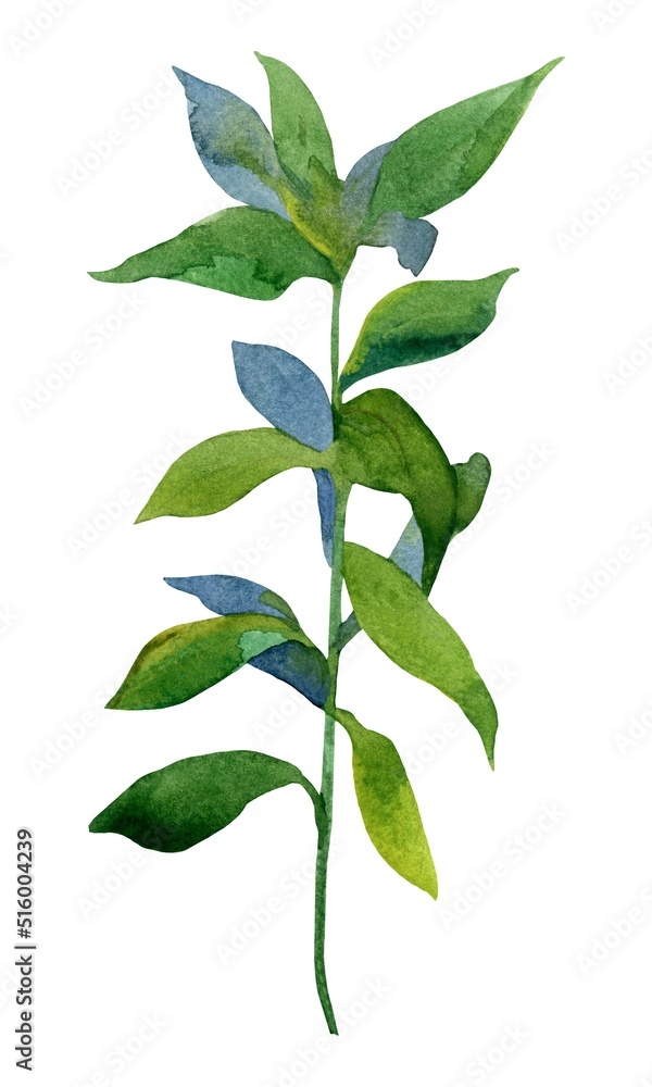 green leaves isolated on white background green leaves isolated on white background