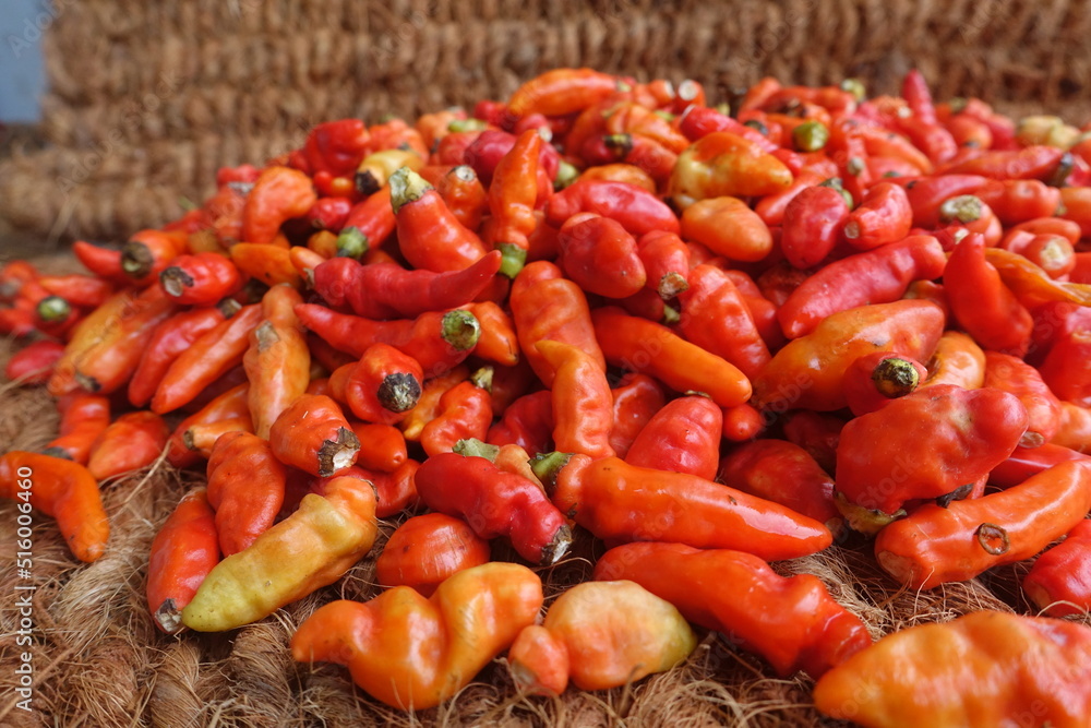 Cayenne pepper (Capsicum frutescens) is a fruit and plant member of the genus Capsicum whose fruit grows towering upwards. Cayenne pepper (Capsicum frutescens) is a fruit and plant member of the genus Capsicum whose fruit grows towering upwards.