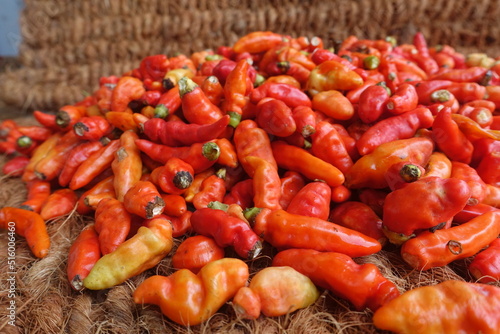 Cayenne pepper (Capsicum frutescens) is a fruit and plant member of the genus Capsicum whose fruit grows towering upwards.