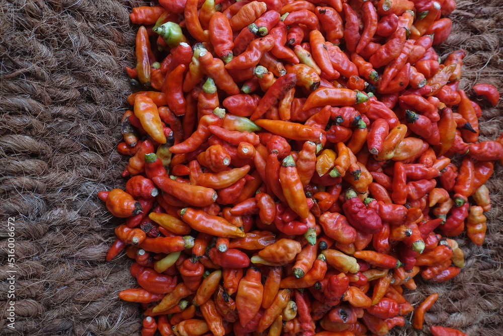 Cayenne pepper (Capsicum frutescens) is a fruit and plant member of the genus Capsicum whose fruit grows towering upwards. Cayenne pepper (Capsicum frutescens) is a fruit and plant member of the genus Capsicum whose fruit grows towering upwards.
