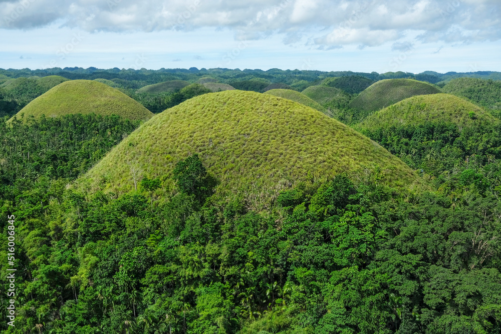 Bohol, Philippines - July 2022: The Chocolate Hills are a geological formation in Bohol Island on July 3, 2022 in Bohol, Philippines.
