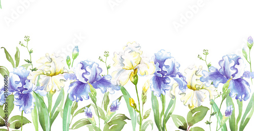 Watercolor iris border. Hand-painted clipart