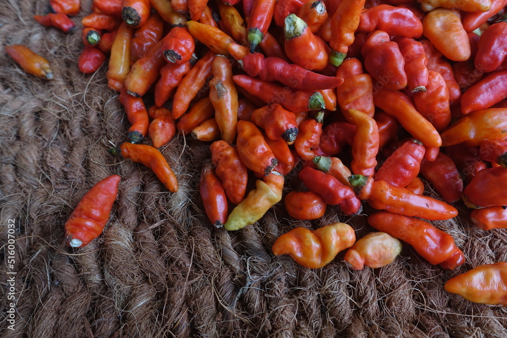 Foto de Cayenne pepper (Capsicum frutescens) is a fruit and plant member of the genus Capsicum