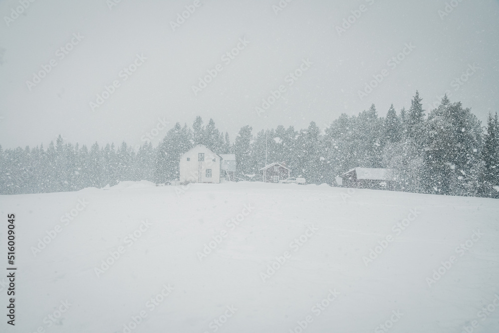 Heavy snowfall in Storsjö (Sweden, Jämtland, Härjedalen, Lapland). A Small wooden cabin and spruce trees with thick snow flakes. White Christmas concept. Copy space included.