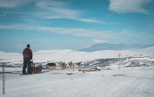 Man riding husky sled (dog sled) in swedish Lapland area close to Helags mountain during white winter and blue sky. stora härjångsstöten in the background. photo