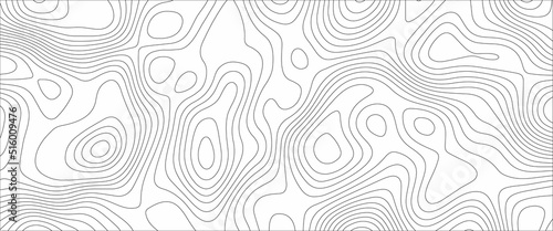 Black and white abstract background vector, Abstract topographic contours map background .Topographic background and texture, monochrome image. 3D waves. Marble texture with natural patter