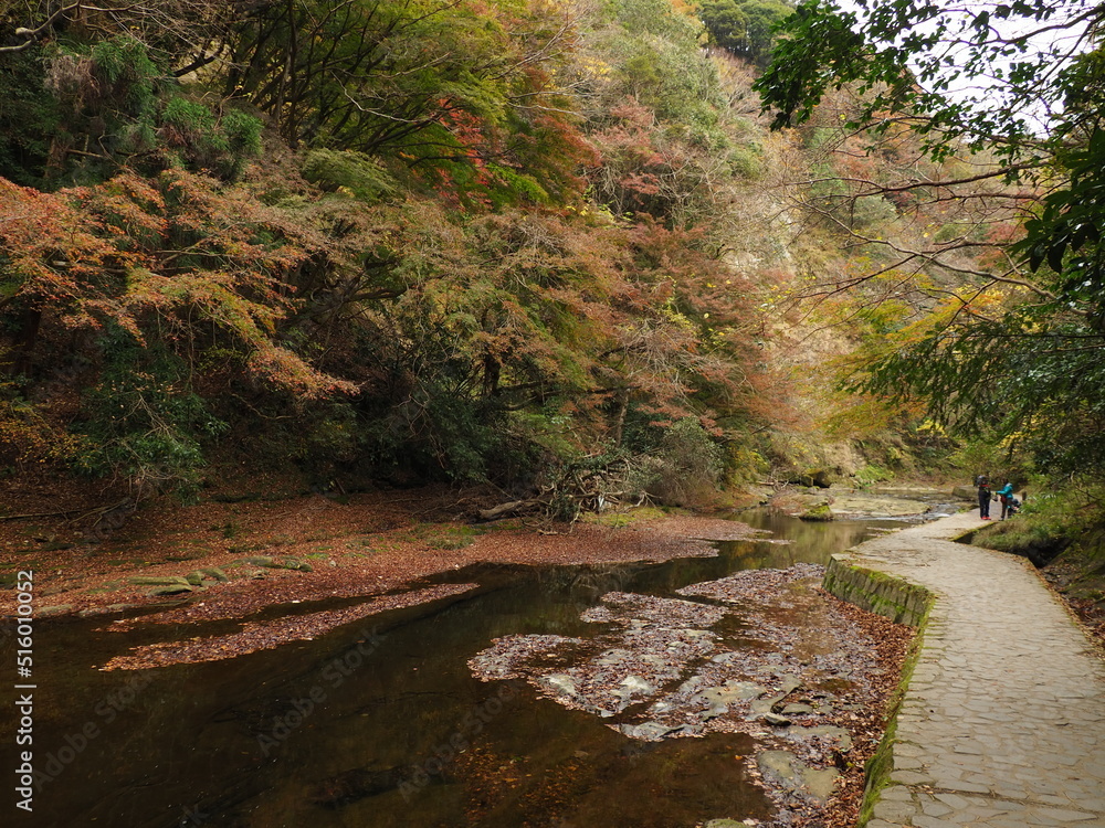 養老渓谷の紅葉 養老渓谷の紅葉