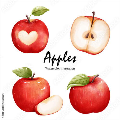 watercolor apples, fruit vector illustration