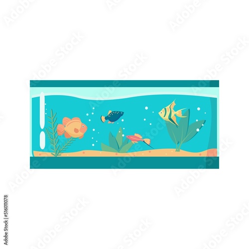 Long aquarium with four exotic fish Cartoon vector illustration on white background