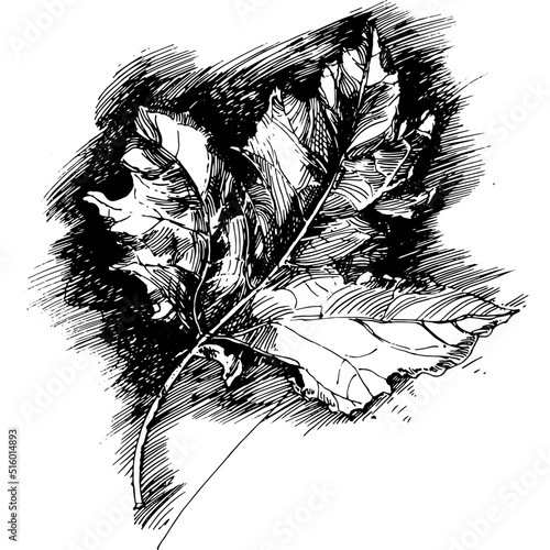 Abstraction, Manual graphic drawing. Black and white abstraction of lines and strokes. Esotericism and psychology. Associative graphics.