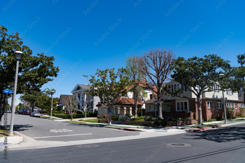 Crossroad in residential street with suburban houses and trees on sunny sky