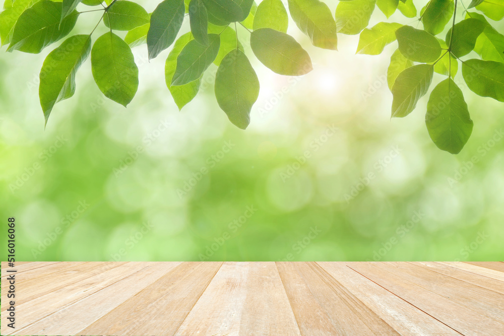 Wooden floor on branches of green leaves on bokeh background Wooden floor on branches of green leaves on bokeh background