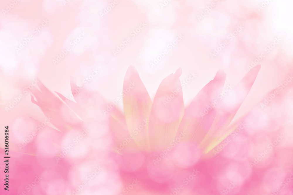 Soft blurred bokeh background with lotus flower pastel color