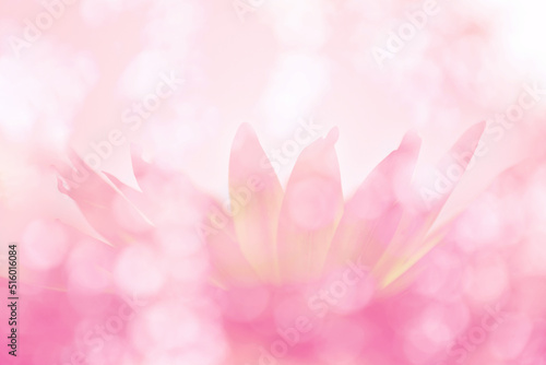 Soft blurred bokeh background with lotus flower pastel color