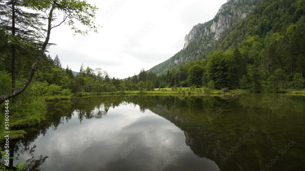 wünderschöner see mitten im wald wünderschöner see mitten im wald