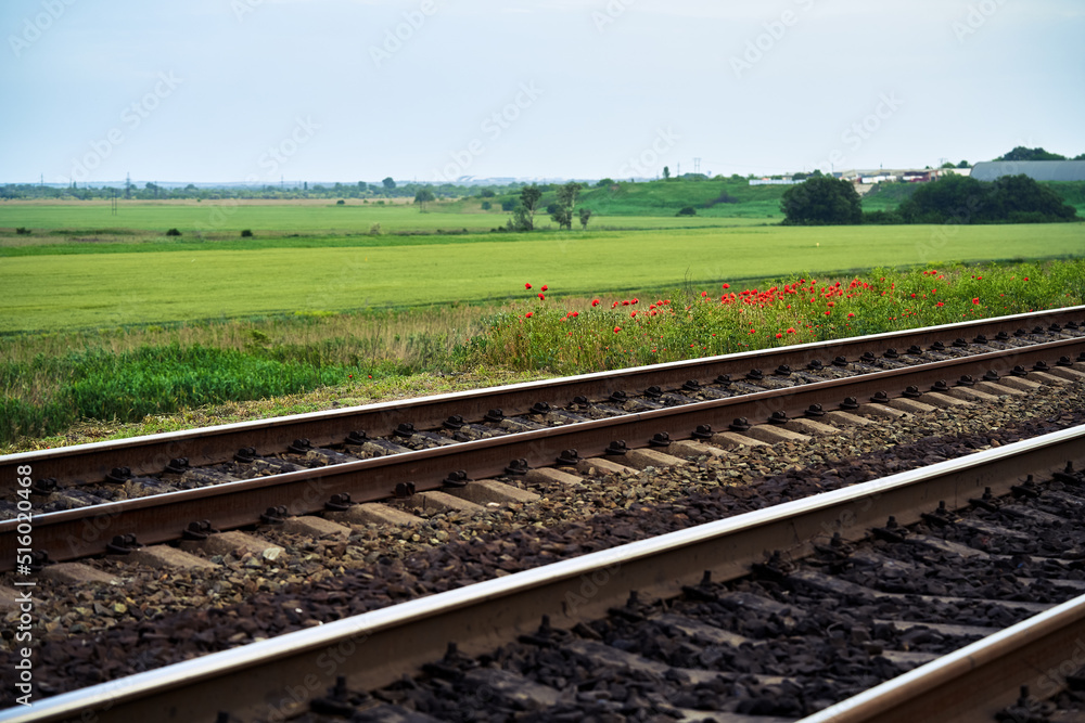 Obraz premium railroad track with field view