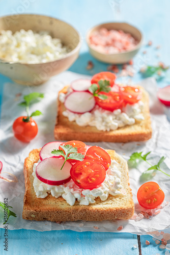 Fresh toasts with cherry tomatoes, cottage cheese and radish.