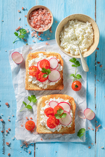 Tasty toasts with cherry tomatoes, cottage cheese and radish.