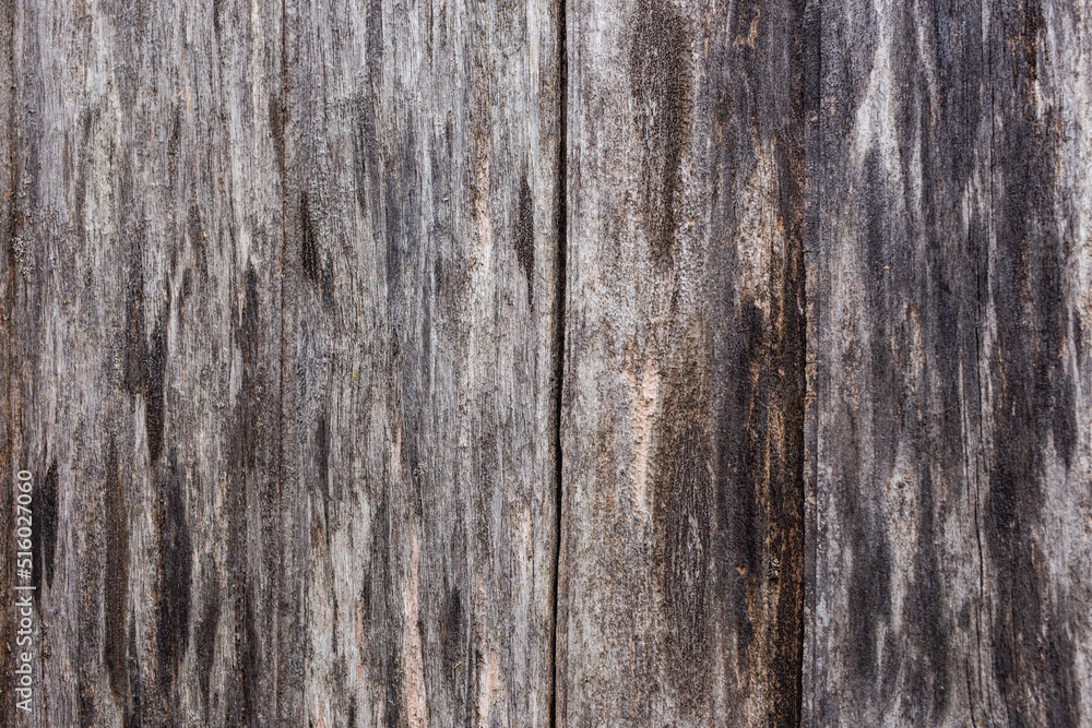 old wood texture old wood texture