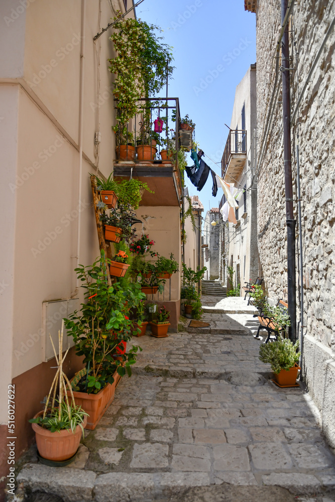 Fototapeta premium A narrow street between the old houses of Pietragalla, a village in the Basilicata region, Italy.