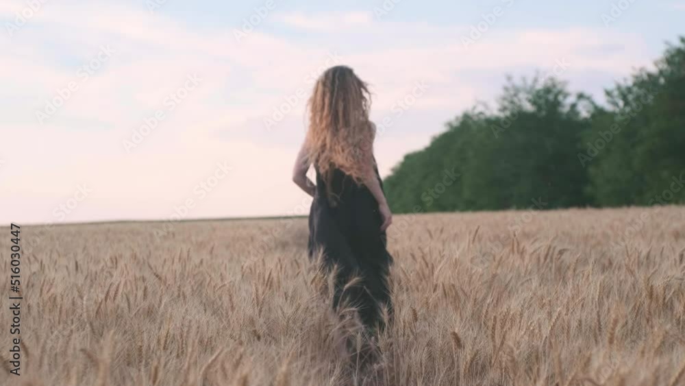 a young female in a black dress running away in yellow wheat on the field a young female in a black dress running away in yellow wheat on the field