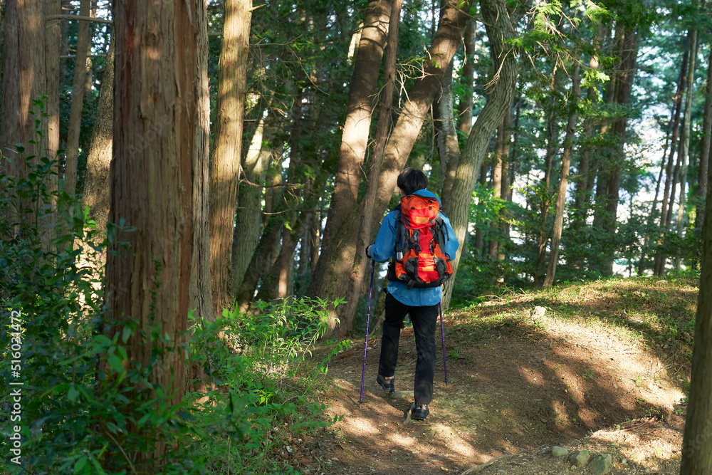 山歩きする男性の後ろ姿 山歩きする男性の後ろ姿