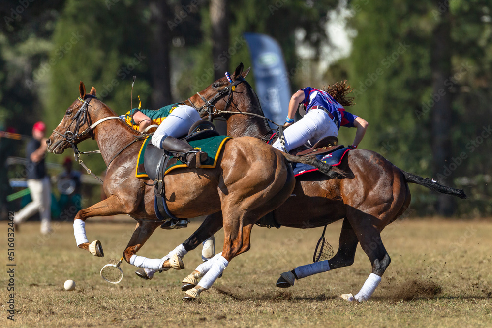 Polo Cross Players Horse Pony's Rider Fast Riding Game Action On Field Polo Cross Players Horse Pony's Rider Fast Riding Game Action On Field