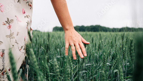 Wheat sprouts field. Young woman on cereal field touching ripe wheat spikelets by hand. Harvest and gold food agriculture concept.