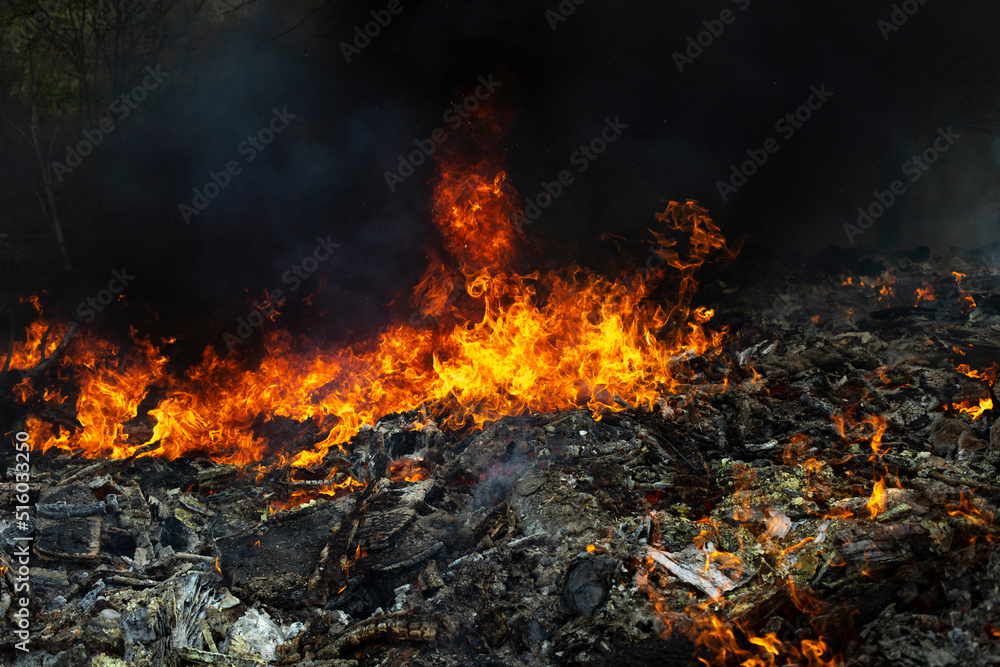 Fire and black smoke. Fire in landfill. Smoke in forest. Illegal landfill. Fire and black smoke. Fire in landfill. Smoke in forest. Illegal landfill.