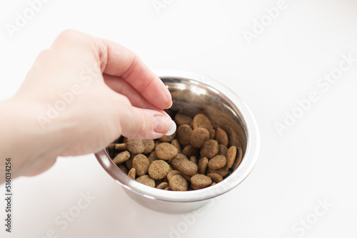 veterinary medicament,pet pharmacy, hand adding a pill to pet food in a bowl, treatment and care for the health of puppies, medicine for worms