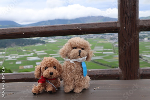 stuffed dogs in the park