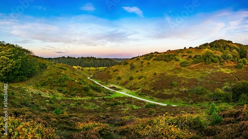 Naturpark Rebild Bakker