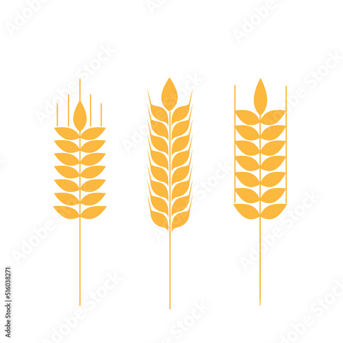 Collection of golden ripe spikelets of wheat. Agricultural symbol, flour production. Vector silhouette of wheat.