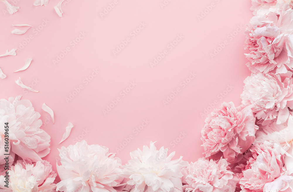 Beautiful pink and white peony flowers on pastel table with copy space for your text top view and flat lay style. Floral border