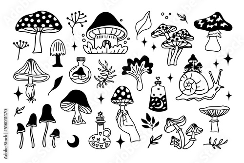 Mystical mushrooms isolated outline clipart set, magic line celestial mushroom, moon stars, witchy esoteric objects, floral mystical