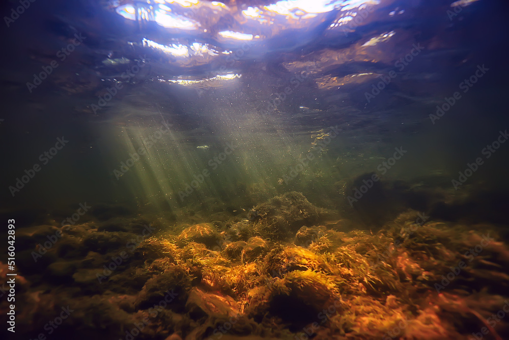 Fototapeta premium sun rays under water landscape, seascape fresh water river diving