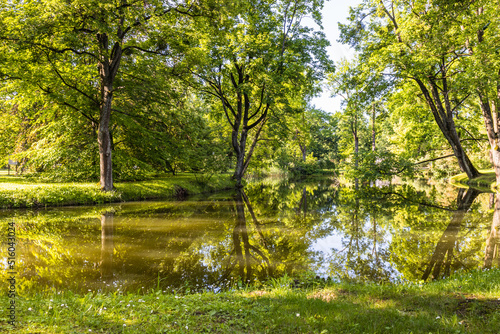 Summer park garden landscape with a duck pond