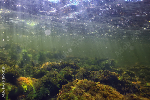 sun rays under water landscape, seascape fresh water river diving © kichigin19