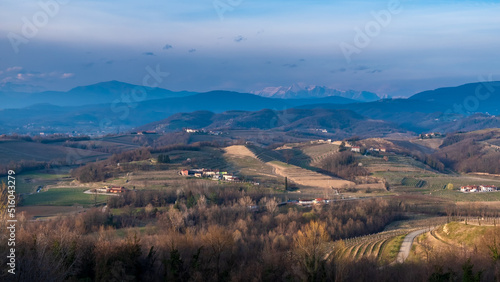 Spring sunset in the vineyards of Collio Friulano