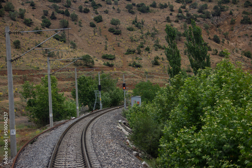 train track in nature and forest