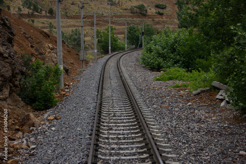 train track in nature and forest
