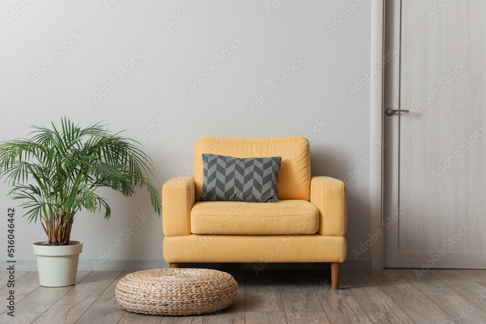 Comfortable armchair with houseplant near light wall in room Comfortable armchair with houseplant near light wall in room